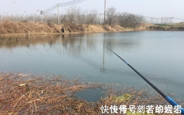 鱼类|没有水草就不能钓鱼了吗根据这4点来找鱼,下竿之处即咬钩