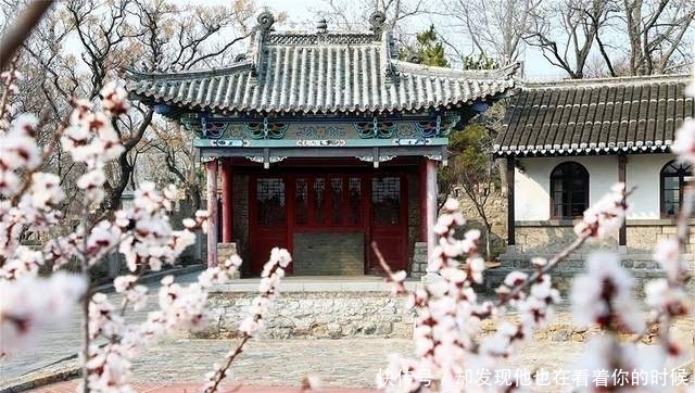 威海仅剩的这两座清式戏楼,惊艳了时光,值得一看