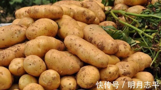 副作用|提个醒吃土豆不能碰此物,吃了就是没病找病,现在知道还不晚