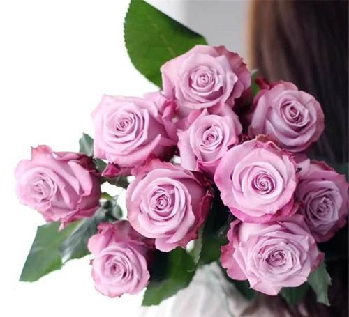  花朵|美艳动人的3款花，种植容易，花期几乎全年，观赏价值高