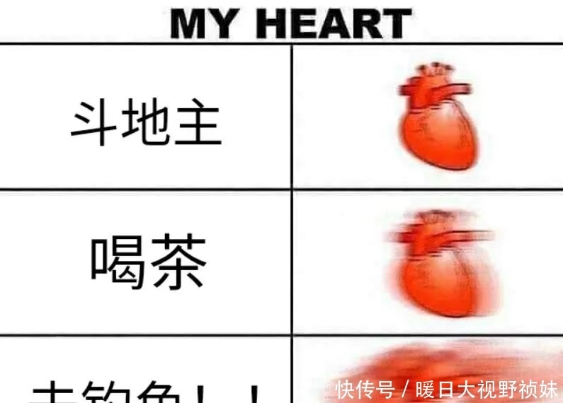 中国钓鱼运动协会|“邓刚钓鱼”，流量解密当代男性终极休闲爱好