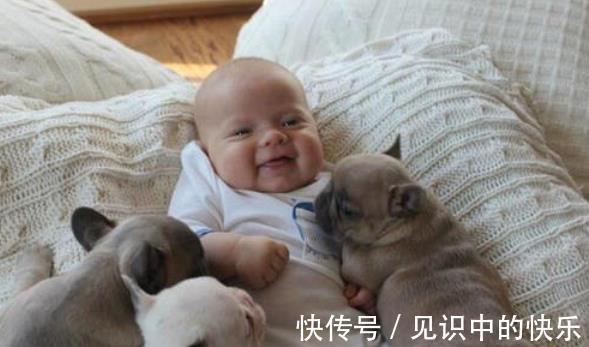 宝宝|萌娃电梯遇到女孩牵着狗,“礼貌性”的问答引热评