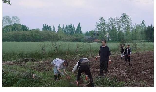 陈赫|《向往的生活5》：何老师担心成真，李诞和陈赫的运气真的很好