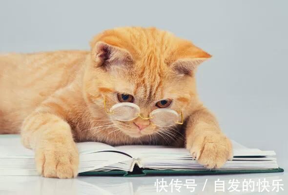 |最经典小笑话,笑抽筋了,发给大家解解压