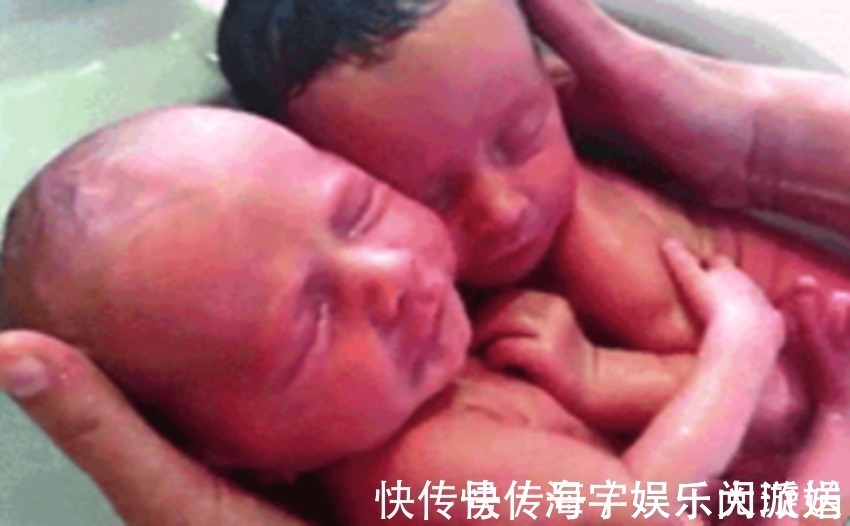 双胞胎|龙凤胎洗澡时,哥哥紧紧地抱着妹妹,这种与生俱来的保护,太有爱