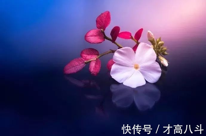 寄内!十位诗人写给妻子的诗,有怀念,有情话,有惋惜!