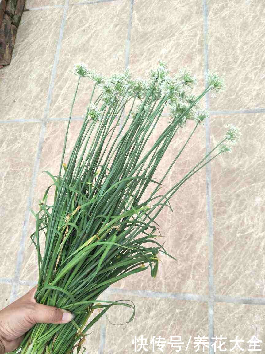 常吃4种蔬菜,能改善便秘状况,比吃药还管用