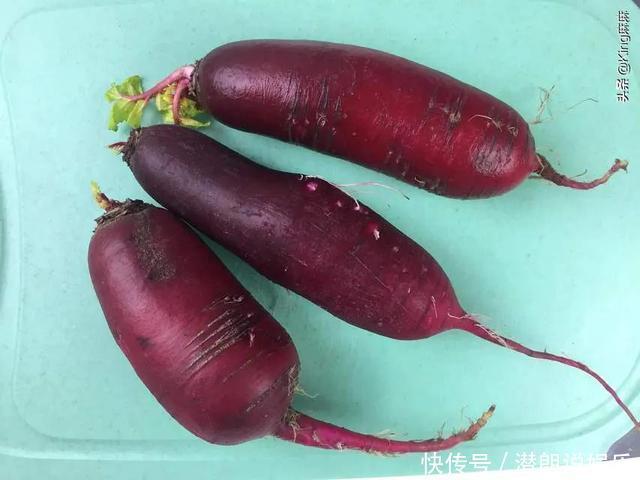 萝卜糠不糠,看尾巴就知道,记住这3个小窍门,萝卜水灵还甘甜