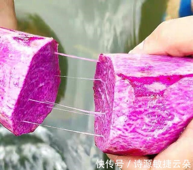 紫色|被称为“月子参”的紫色山药,江西人坐月子常吃,外地人很少知道!