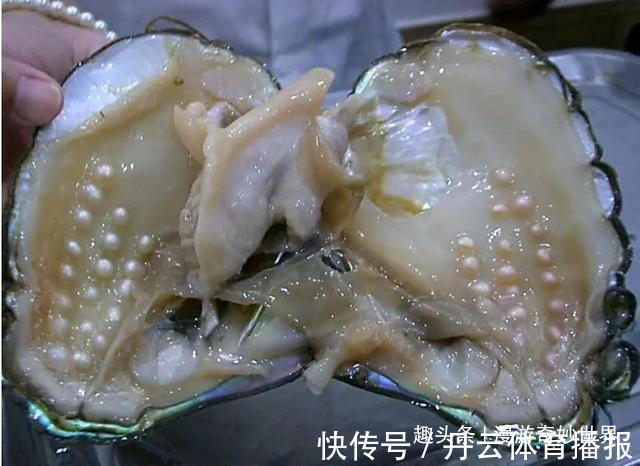 鹦鹉螺&这些东西内部长啥样?25张照片揭示日常事物看不见的一面!