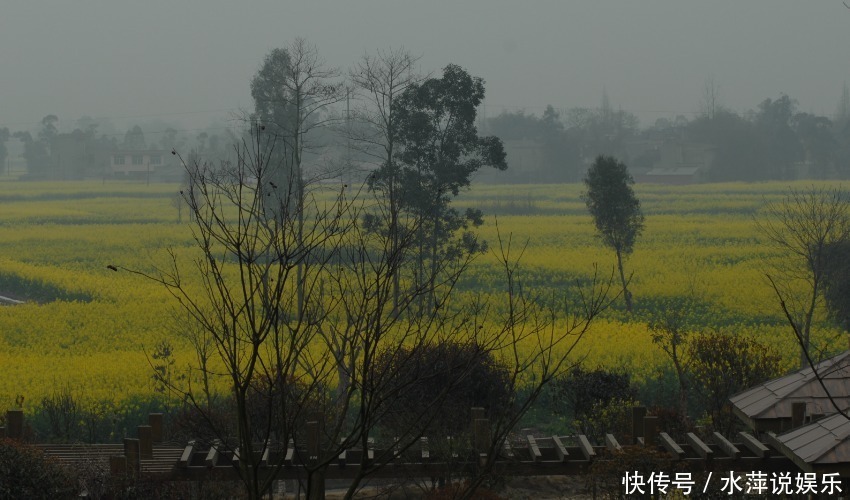 四大生肖女|特别“抠门”的四大生肖女，不舍得给自己花钱，却对家人很大方