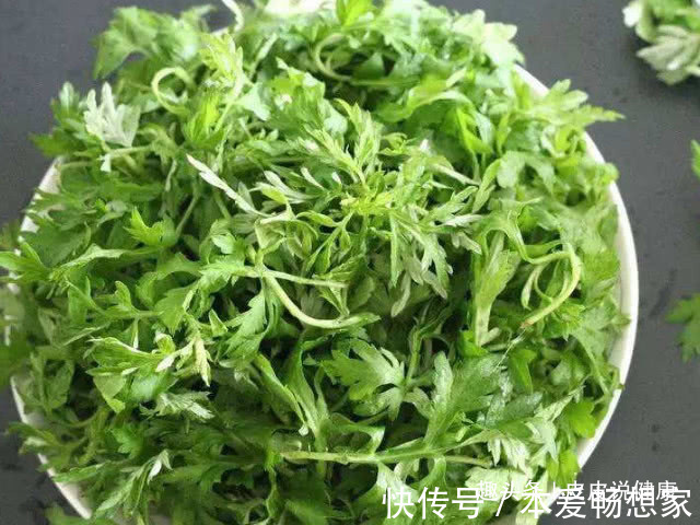 野草|农村有种野草,专门为“腰间盘突出”而生的,遇见请珍惜