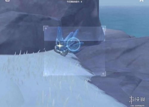 蒲公英 原神蓝色照片在哪里拍？蓝色照片采集物生物分布位置一览