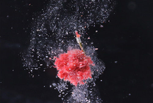 同样钓鱼别人连杆,你却次次抬杆不中鱼,你懂看漂抓口的技巧吗