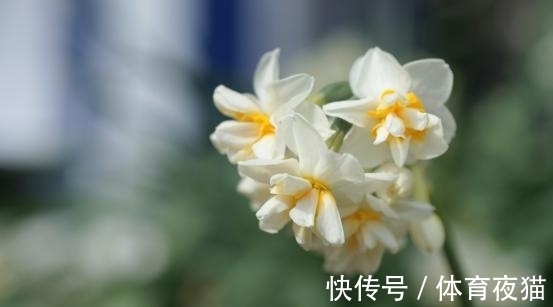 旧爱|7月，红鸾飞舞，深情难忘，蓦然回首，旧爱相逢，执手一生相伴