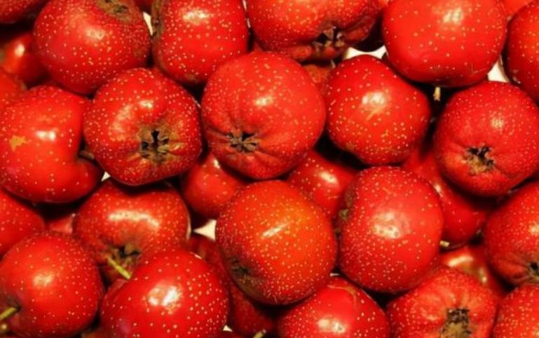 如意果|养生的最佳方式莫过于食补了,多吃3种如意果,寓意健康如意