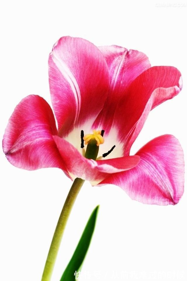 警世名言!醒悟人生的警世名言,睿智透彻,句句中肯实用