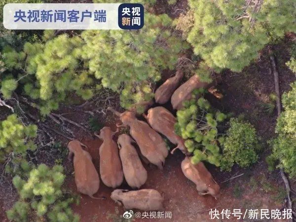 病例|8月8日·上海要闻及抗击肺炎快报