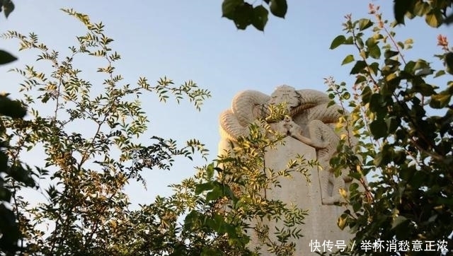 书魂·张柔:轻财重书,《金史》得用(上)韦力撰