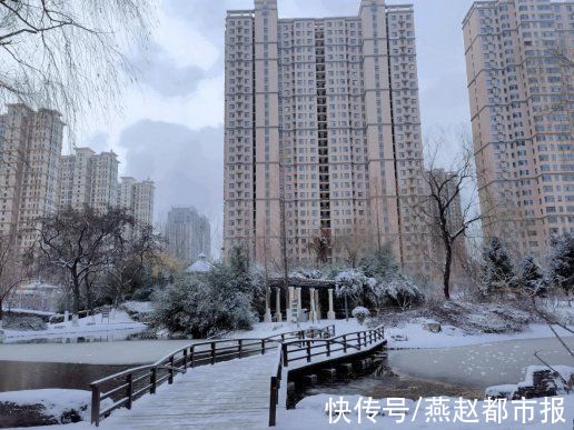 柏林公园|雪后的石家庄柏林公园景色有多美，大家一起来看看吧