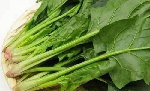 肌膚|建議男女常吃的食物,不要錯過,保護血管,滋養(yǎng)肌膚,誰吃誰好