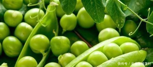 用他煎鸡蛋,补脑,皮肤光滑,视力好,人也精神