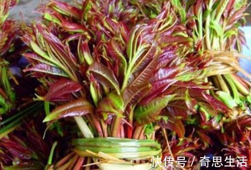 妇科病|女性子宫健康,皮肤才会红润,多吃此物,防妇科病,清子宫垃圾