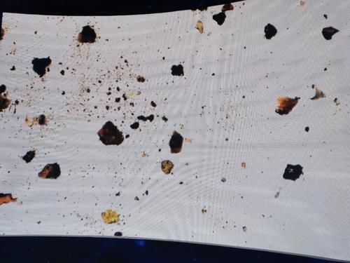 显微镜下的月壤长啥样?月球样品实物首次离京在宁展出