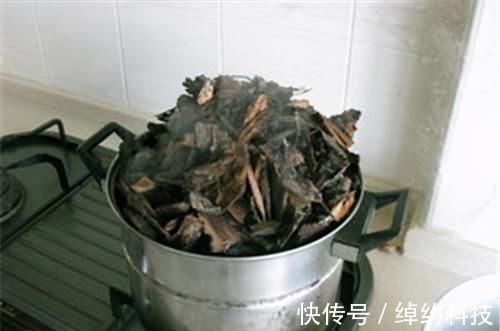 植株|冬天养虎皮兰，土里埋点“生长素”，一到春天爆新芽