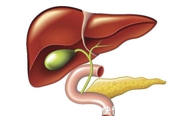 养肝|养肝的人,晨起多喝4种水,排肝毒、降肝火,肝脏或许“感谢你”