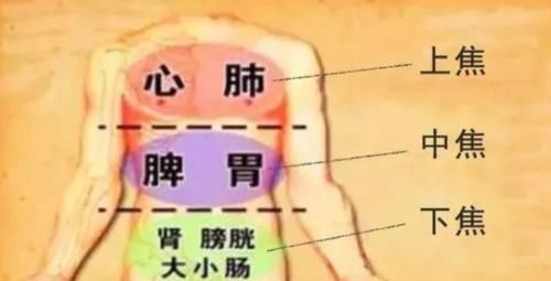 水谷|每天晚上9至11点拍三焦经，身体会感谢你的，三焦经是无言的神医