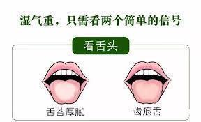 温脾阳|湿气的“七寸”在哪里你抓对了吗湿重，少做3事，贵在坚持