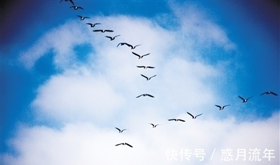 诗居雅韵&七言绝句《诗居雅韵》,生活没有诗,就像做菜没放盐一样,无味