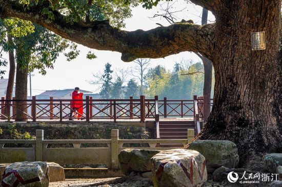 大郑村$宁波宁海：艺术点亮乡村 文化振兴乡村