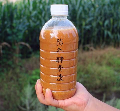 养花:因为土壤呈碱性而引发黄叶问题,就该用这几样“水”解决