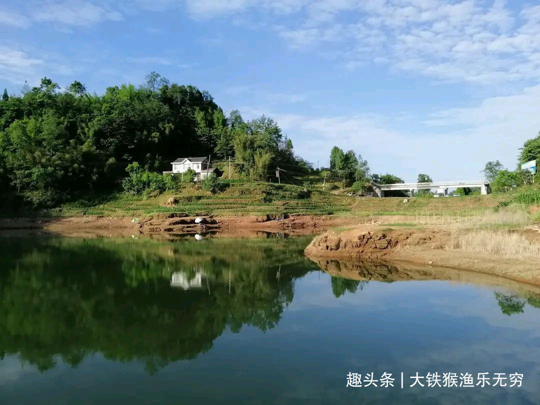 小杂鱼|解决小杂鱼“闹钩”的奇葩招数,这招叫以毒攻毒,钓鱼人完胜