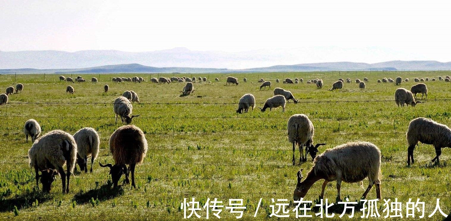 房价|马云再现预言,8年后最不值钱的房子,而是这些让人忽视的东西