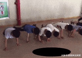 |搞笑GIF趣图:海象:“看你这么可爱的份上,我就配合一下吧!”