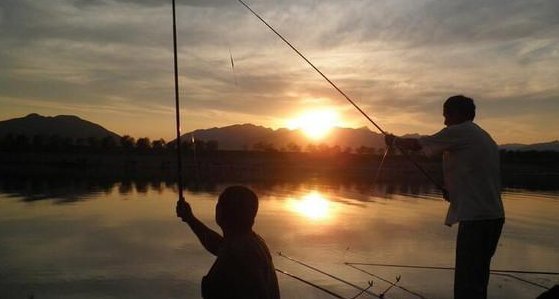 鱼口|挂饵调漂钓底打浮一招搞定,简单实用!