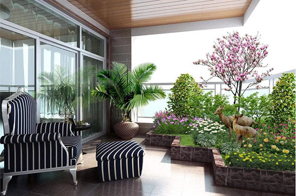 3种象征“财富与幸运”的植物,好养易成活,新手也喜欢