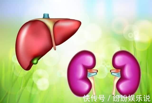 酒精肝|生殖系统发出的这3个信号，说明你的肝可能有问题了