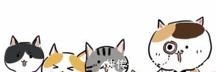 钱程浩|虐文“你敢从这跳下去,我就信你无辜”,她冷言道你会后悔的