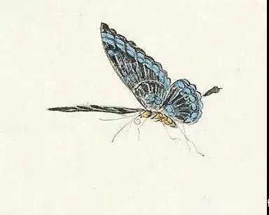 俞致贞|收藏!国画蝴蝶纸上来感觉蝴蝶在动,太逼真了!