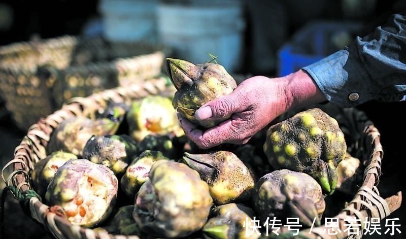 水中人参, 水里捞起来一斤卖十几块钱, 剥开一斤价格达到八十多