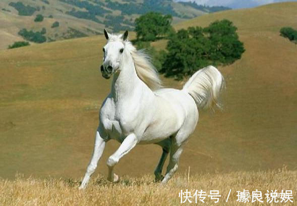 曾仕强!曾仕强全世界订条约都不敢用中文,为什么西方人永远不会懂