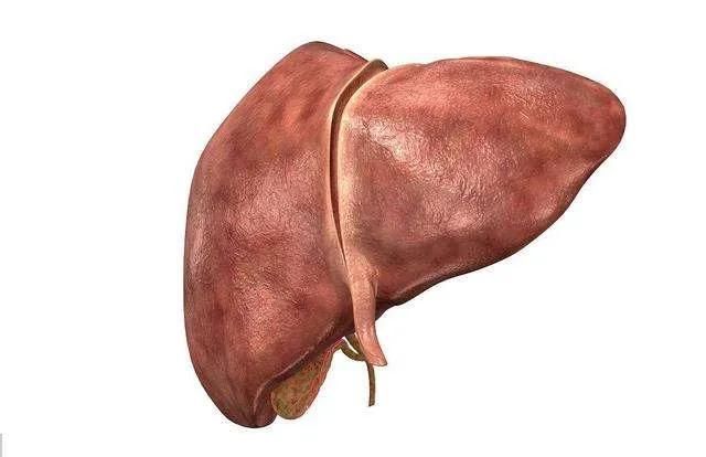 预防脂肪肝|医生提醒：养肝不需要太复杂，多吃三种食物，肝脏或会“感激”你