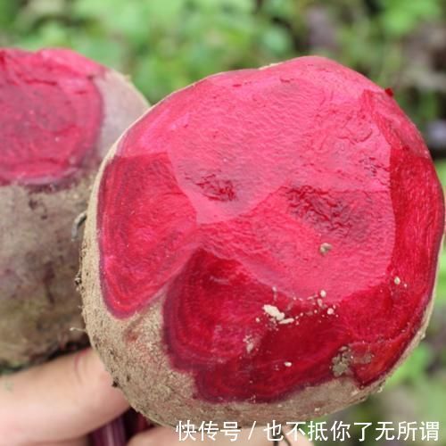 补血别吃红枣了,多吃这菜,称为“补血库”,皱纹消失了,润肤又淡斑