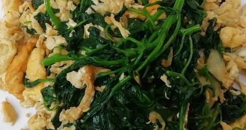 这种野菜农村用来喂猪，加上鸡蛋炒着吃太美味，城里人想吃吃不到