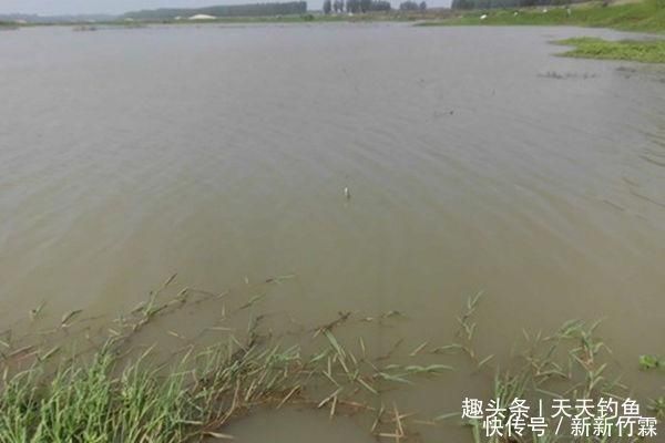 水位|夏季雨后涨水,在这些位置下竿,保证连竿上鱼,狂拉到手酸