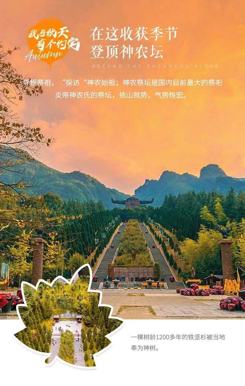 天下风物——《从国庆开始，神农架将迎来“华中屋脊”盛放的秋色！（二）》风光题照